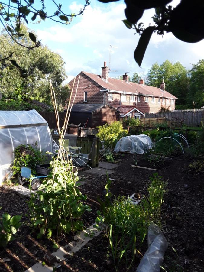 Waveney Villa Belfast Kültér fotó