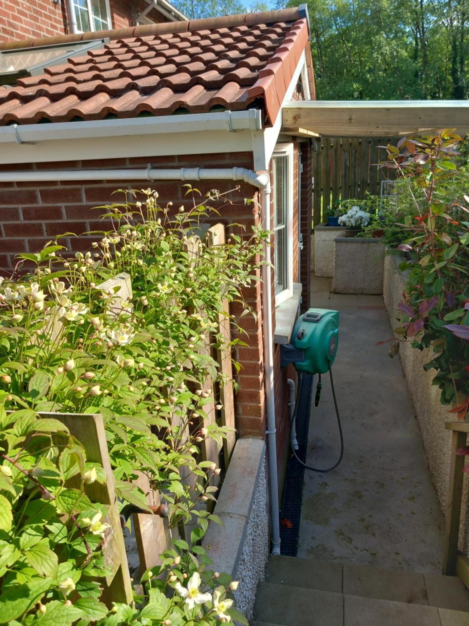 Waveney Villa Belfast Kültér fotó